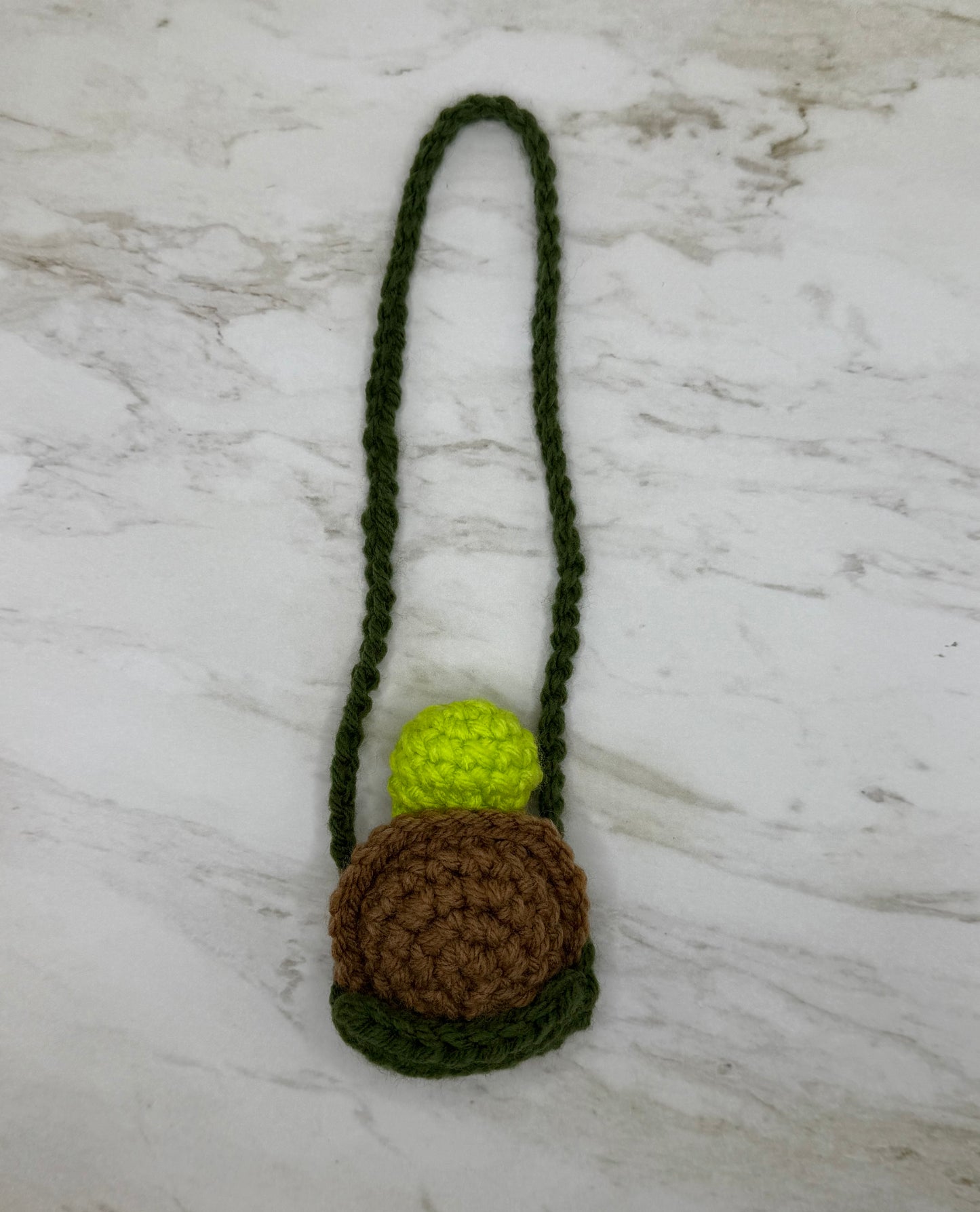 Swinging Turtle